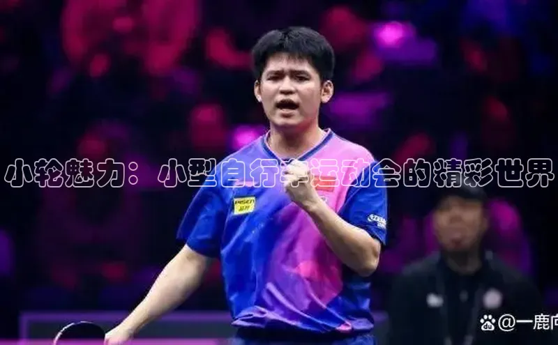 小轮魅力：小型自行车运动会的精彩世界